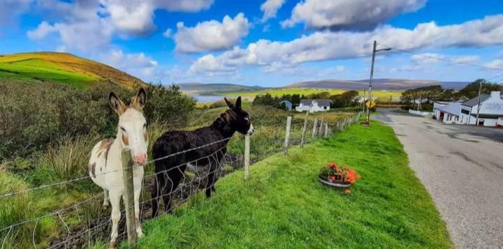 Cozy & Remote Hideaway Gintys Cottage Ross Port Exteriér fotografie